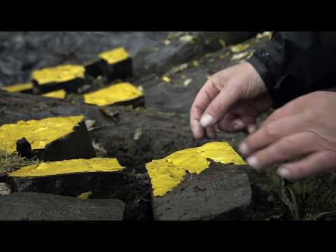 Leaning Into The Wind clip - Color Palette