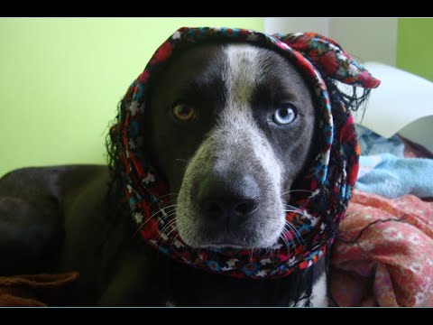 Fabb'X - Amsterdam (Original Mix)