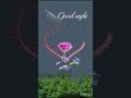 Good Night Romantic Roses Flower Status Goodnight Goodnightstatus Rose Shorts Ytshorts Viral