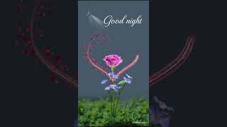 Download lagu good night romantic roses flower status💕🥰#goodnight#goodnightstatus#rose#shorts#ytshorts#viral mp3