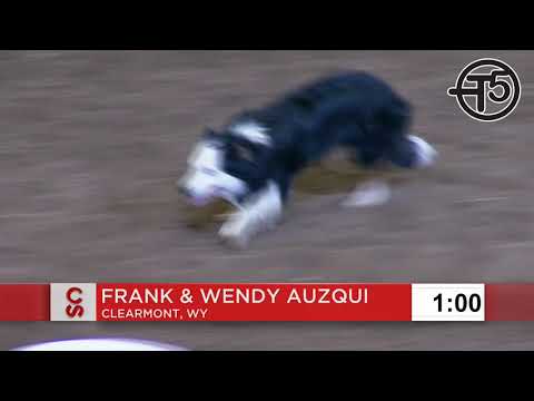 Wyoming dog and handler duo take home top prize in the Calgary Stampede World Stock Dog Championship