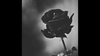 won’t go away - vertical horizon