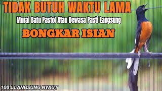 Download lagu TEMBAKAN MURAI BATU PASTOL INI AMPUH UNTUK MEMANCING LAWAN BONGKAR ISIAN mp3