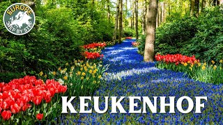 🇳🇱 Keukenhof Tulips Festival in April - ❤️ The Most Beautiful Spring Garden in the World 📸 Holland