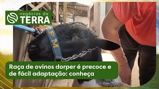 Miniatura do vídeo