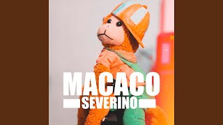 Musik-Video-Miniaturansicht zu Eu Tenho Essa Cara De Anjo Songtext von Macaco Severino