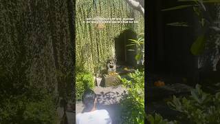 $20 Massage at the Most Beautiful Spa in Ubud, Bali | ANJEEZ #baliindo