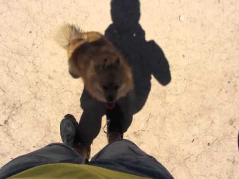 Sladkata Lua goni sqnkata w jegata wyw Valencia