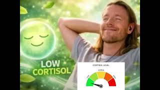 Cover art for Ai_Đưa_Em_Về_-_Tia (low cortisol song)