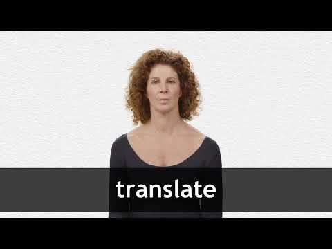 Traducir meaning