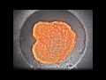 Jack Johnson Banana Pancakes