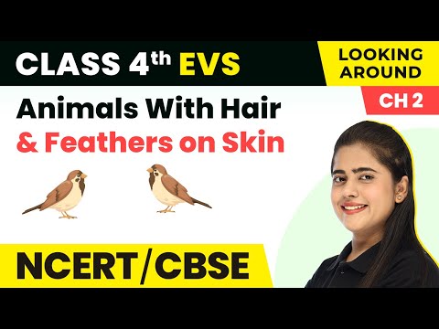 Animals With Hair and Feathers on Skin - Ear to Ear | Class 4 EVS