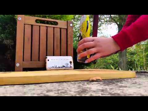 Schalke köpft BVB Weihnachtsmann