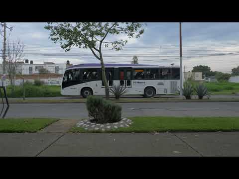 significantes, cinco de cinco