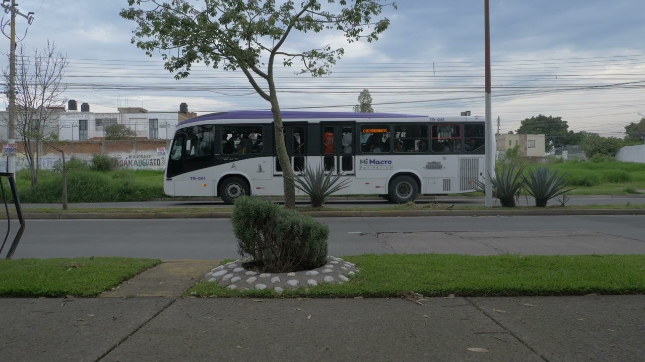 significantes, cinco de cinco