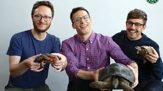 The Lonely Island explains why turtle sex is important (Popstar Movie)