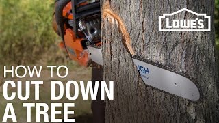 How To Cut Down A Tree