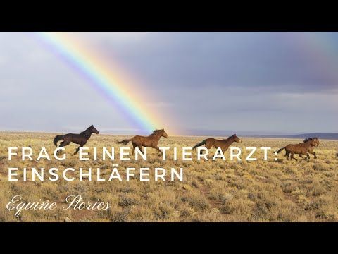 Was passiert, wenn ein Pferd eingeschläfert wird? I Wissen