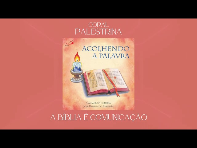 Preview do vídeo