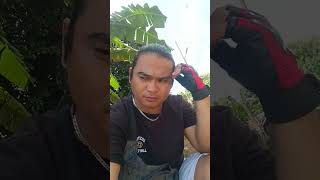 Download lagu laay kaayo mp3