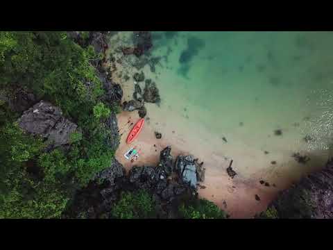 🎼[FREE][NO COPYRIGHT] Mellow Acid [Free/Libre music] de CyberSDF