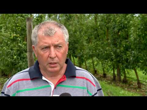 Híradó 2016. június 23. - Kölcsey Tv