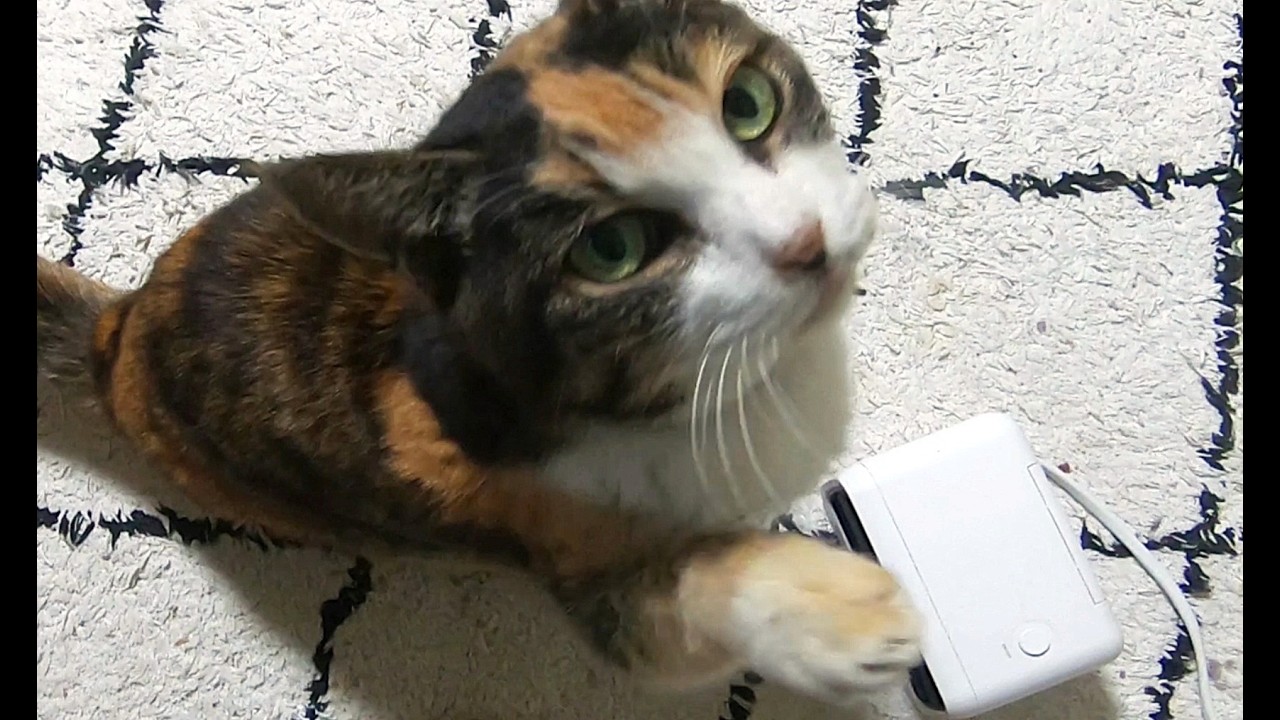 久々にお泊りしたけど、、、、