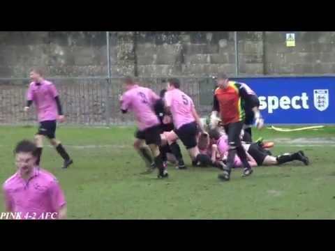 Pink Flamingos vs. AFC Shoreham - 22-02-15