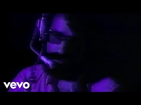 Wildest Dreams video thumbnail