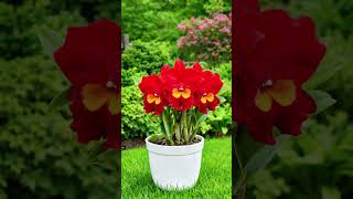 26 de março de 2026