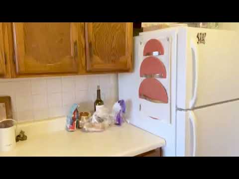 2542-46 W. Summerdale - Video 7 of 7