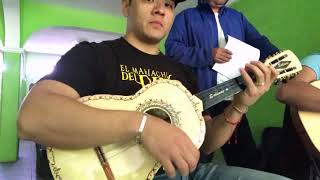 Con todo y mi tristeza - Mariachi Alma de Juárez