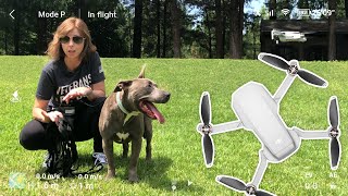 Work With Your Dog On Impulse Control Using A Drone