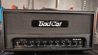 The Bad Cat Jet Black