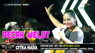 Download lagu PECAK WELUT ~ NUNG UL QISMA // CITRA NADA LIVE DESA BULAKPAREN // BULAKAMBA - BREBES mp3