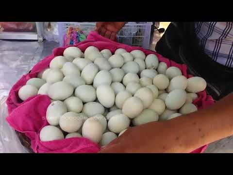 Khmer Street Food near me in Cambodia - eat for Breakfast, Lunch & Dinner #103