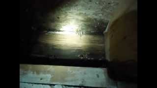 Improper repairs from past termite damage