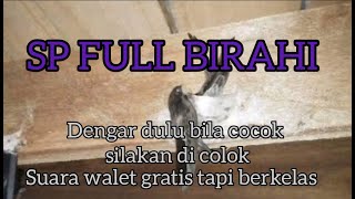 Download lagu Suara walet full birahi mp3