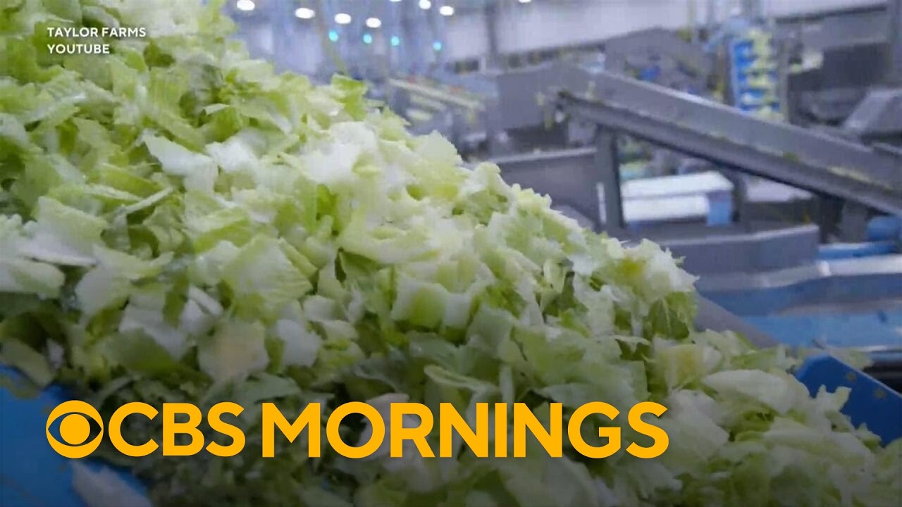 Lettuce supplier for Taco Bell investigated as possible source for cyclosporiasis outbreak