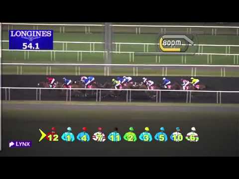Race 6 - Burj Nahaar Sponsored By Emirates Holidays-AFRICAN STORY
