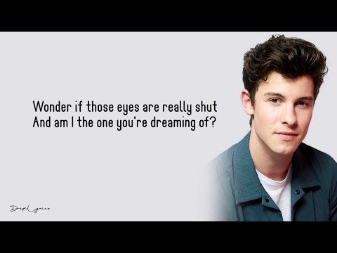 Shawn Mendes - This Is What It Takes (Lyrics) 🎵