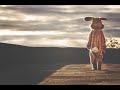Galantis & Hook N Sling feat. Dotan - Never Felt A Love Like This (Lyrics)