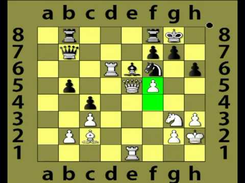 3.11. IM Vítězslav Priehoda - FM Vladimír Mrva 1 - 0