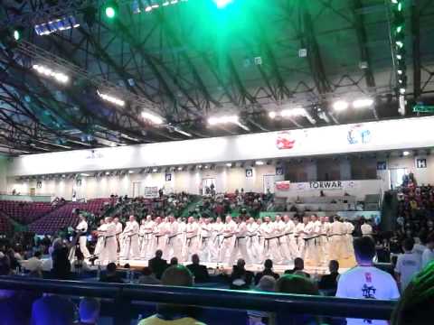 Mistrzostwa Europy Shinkyokushin 2015 Warszawa - show