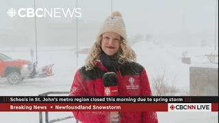 Say it ain't snow. Parts of N.L. walloped by snow, wind, freezing rain