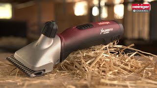 Xplorer Pro for Cattle