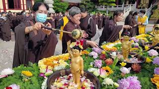 CHÚ_ĐẠI_BI_-_Bí_Mật_Tránh_Tà_Ma,_An_Thần,_Dễ_Ngủ___108_Biến_Bản_mới_#chudaibi_#nammoadidapha