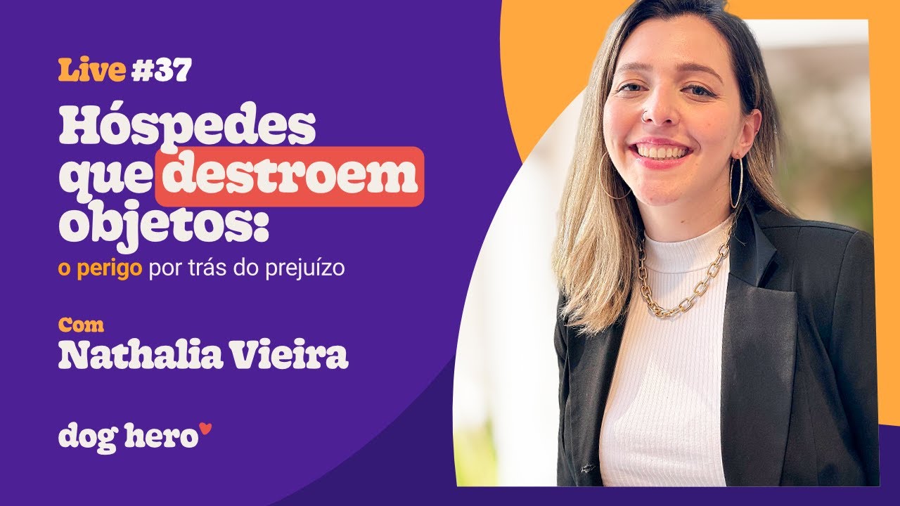 Hóspedes que destroem objetos: o perigo por trás do prejuízo