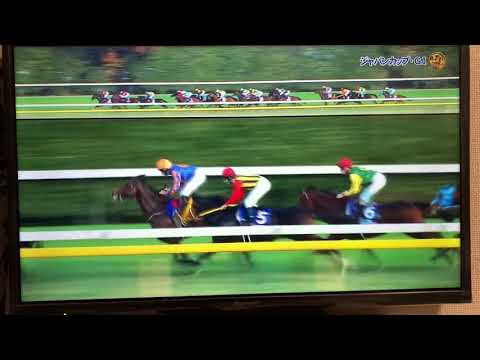 2017.11.26 ジャパンC