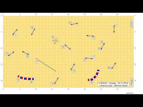 Agility Courses by Sabrina Hauser - X-Bionic Lucky Loser Large